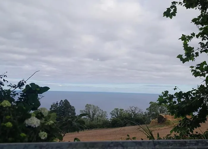 Casa Dos 4 Platanos * ポヴォアサン